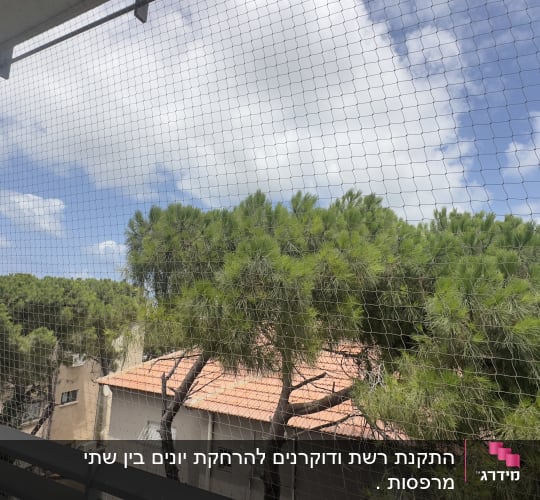רשת למניעת כניסת יונים על רקע עצים ושמיים